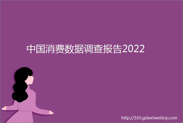 中国消费数据调查报告2022